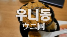 [일본도쿄 츠키지시장] 4만원짜리우니동(성게덮밥)[4K 초고화질]1인칭먹방! 위꼴[Eating Show] 찌…